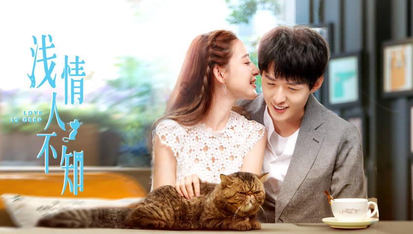 蚊子猎手